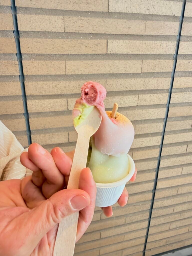 동그란 떡이 올라간 이몬네 제라모치