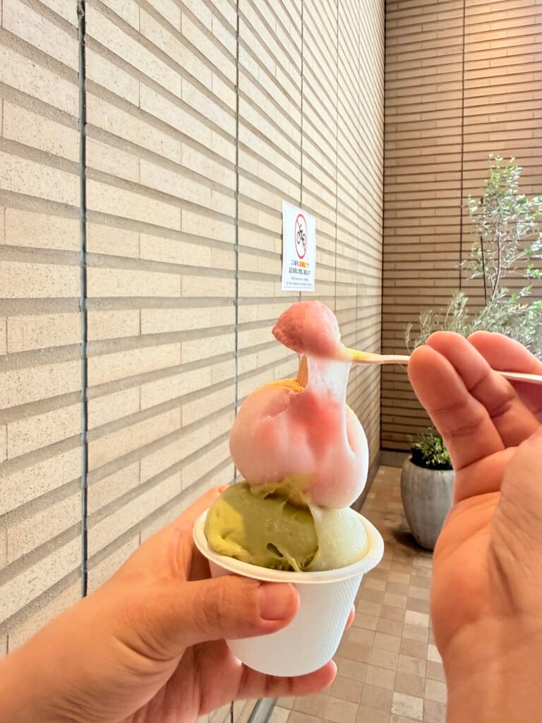 숟가락으로 들어 올린 쫀득한 제라모치