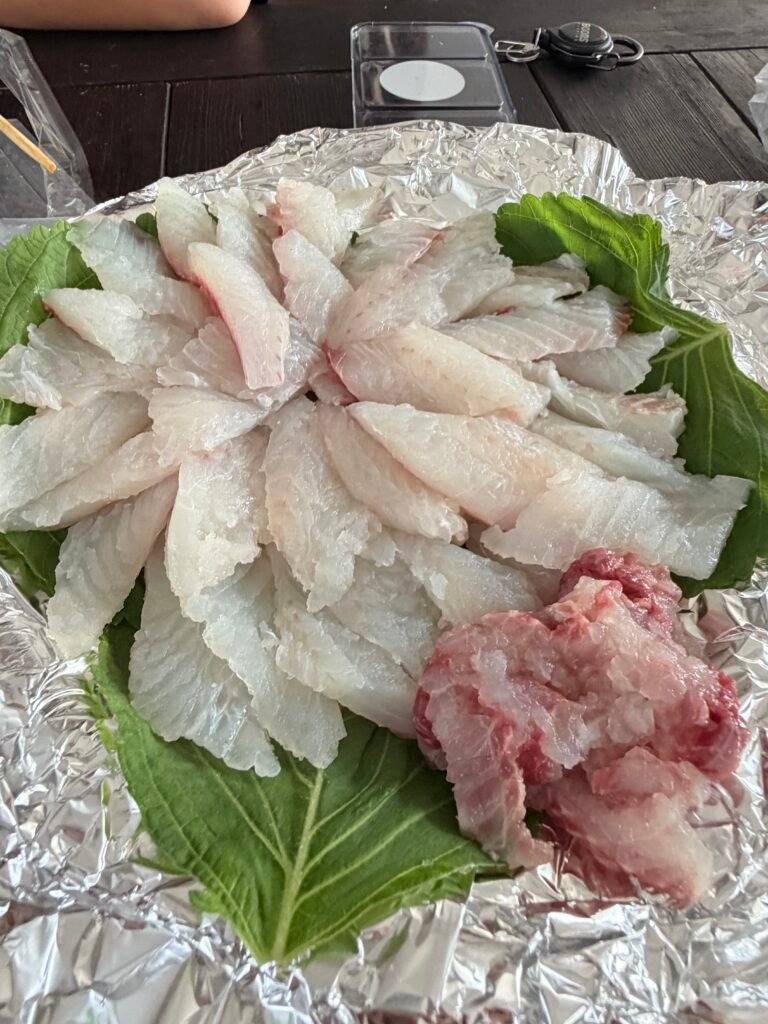 제주 비양도 벤자리 회