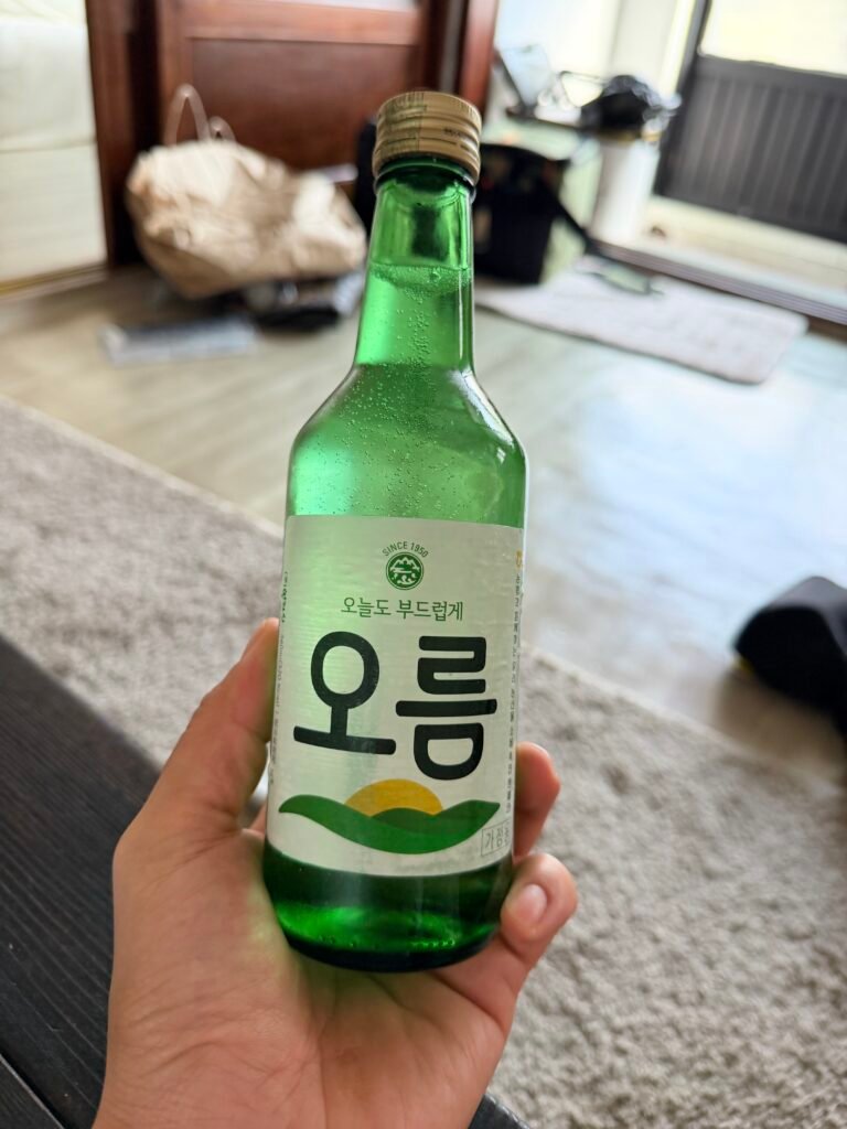 제주 소주 오름과 함께 먹은 비양도 벤자리 회